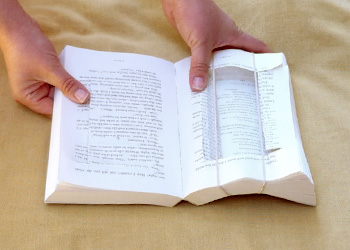 Breaking the book spine